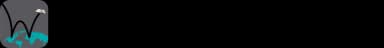 Witnessor
